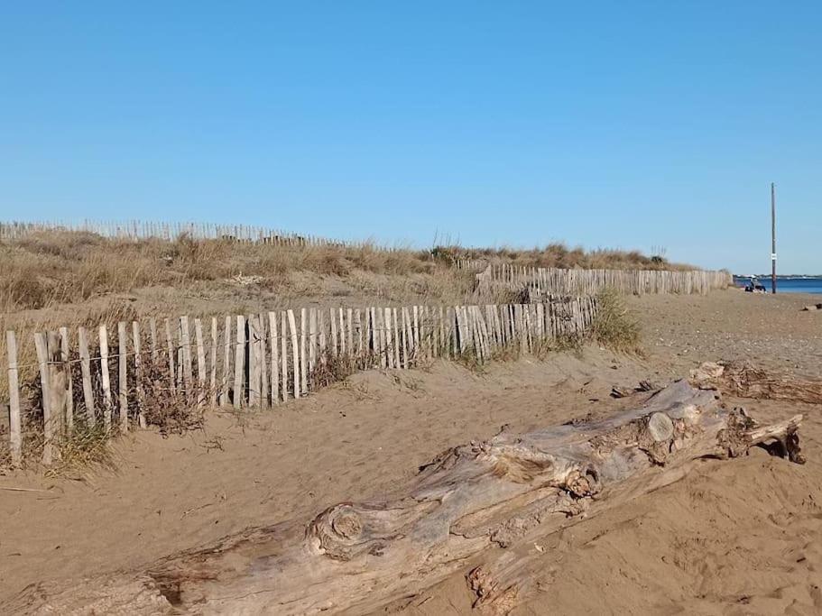 Studio Au Cap D'Agde Dans Les Pinedes Buitenkant foto