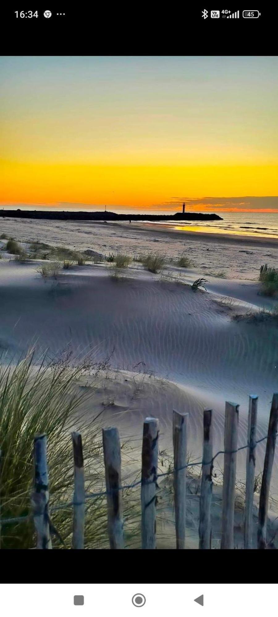 Studio Au Cap D'Agde Dans Les Pinedes Buitenkant foto